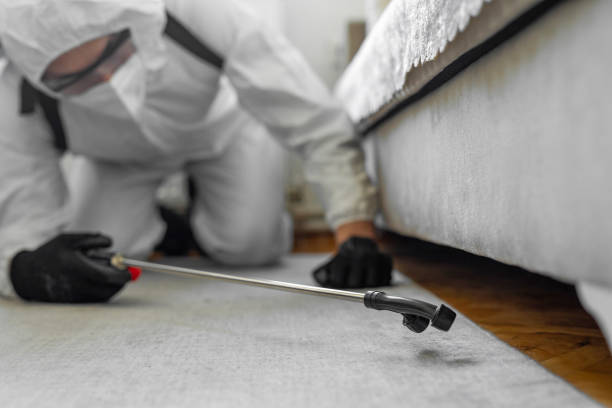 Professional Termite Control technician working in Lancaster, KY