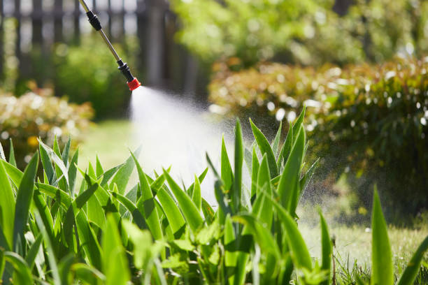 24/7 Emergency Termite Control experts in Lancaster, KY